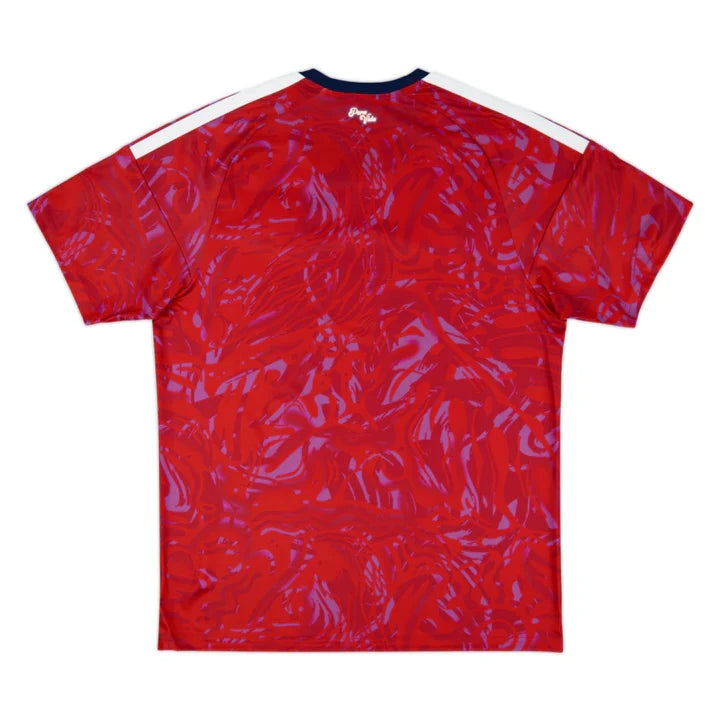 2026 Costa Rica Home Kit 