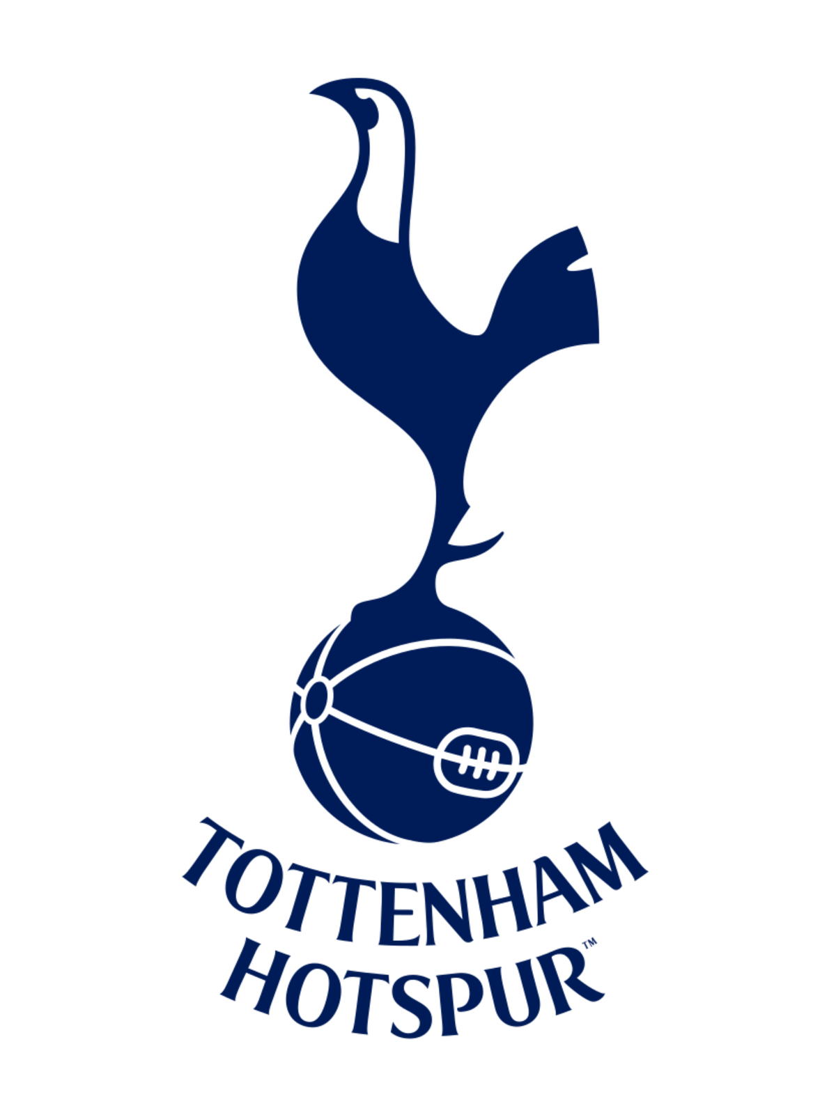 Tottenham Hotspurt FC