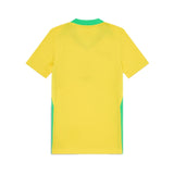2025 Brasilien Heimtrikot